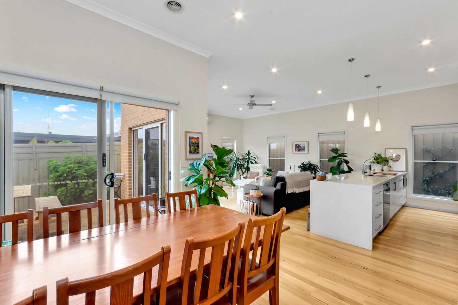 Gallery: 3/7 Jacobs Street