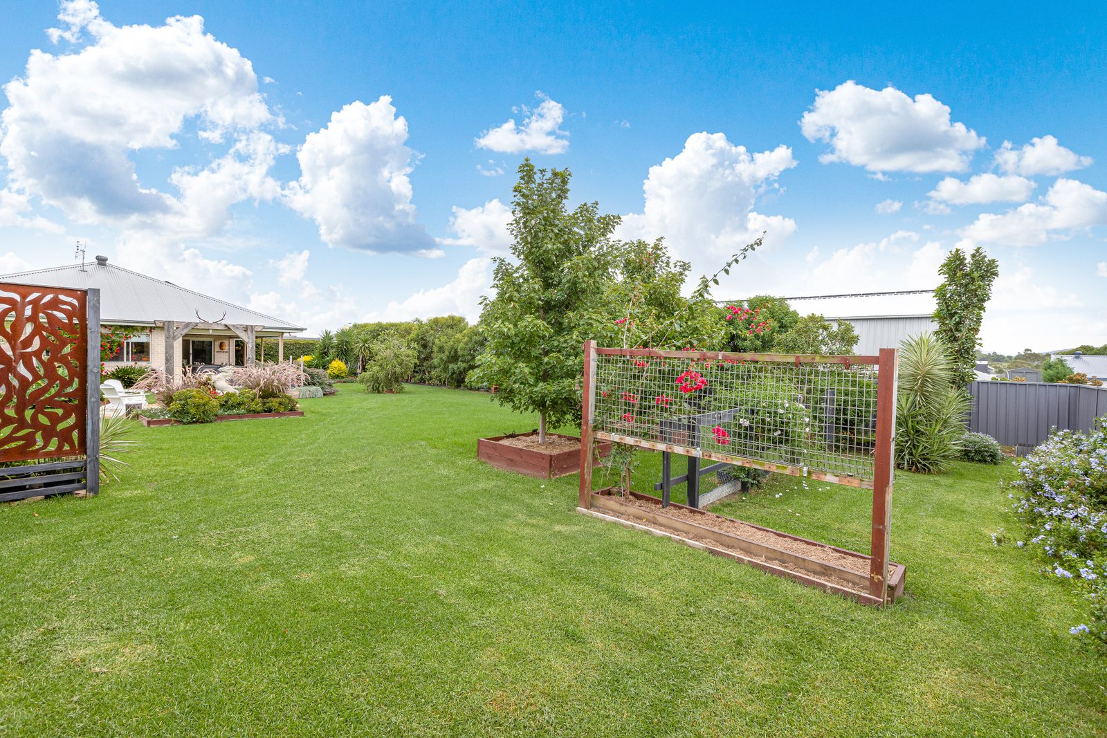 37 Johannes Street LOCHINVAR 28