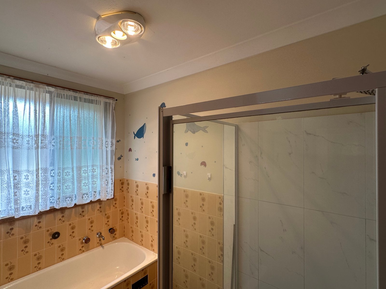 37 John Street SOUTH TAMWORTH 8