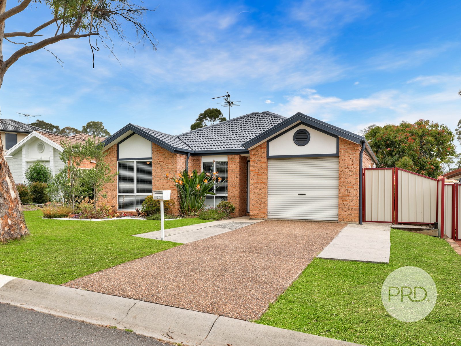 37 Mackillop Cres  ST HELENS PARK 12