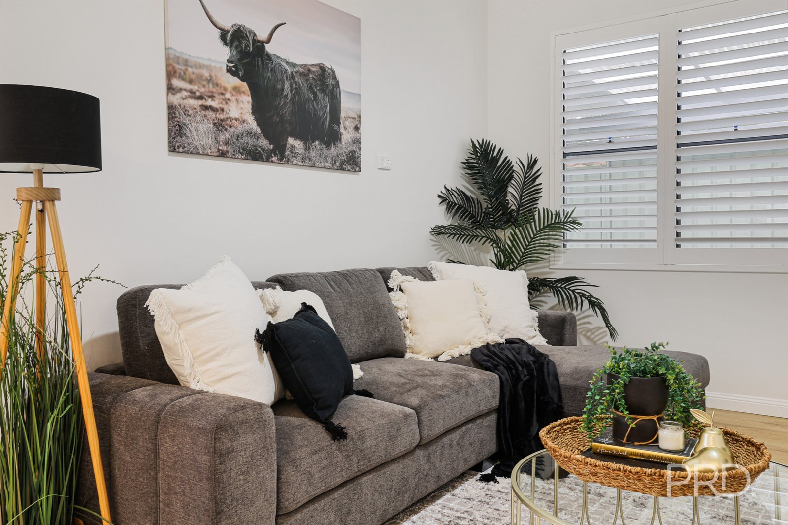 37 Mathews Street TAMWORTH 7