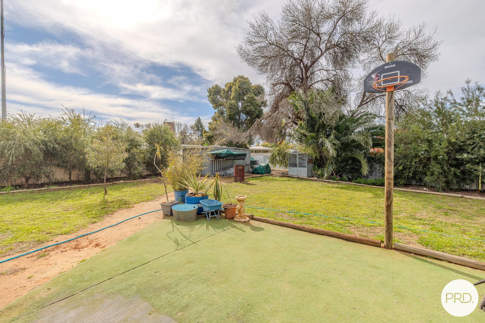 37 Neilpo Street DARETON 16