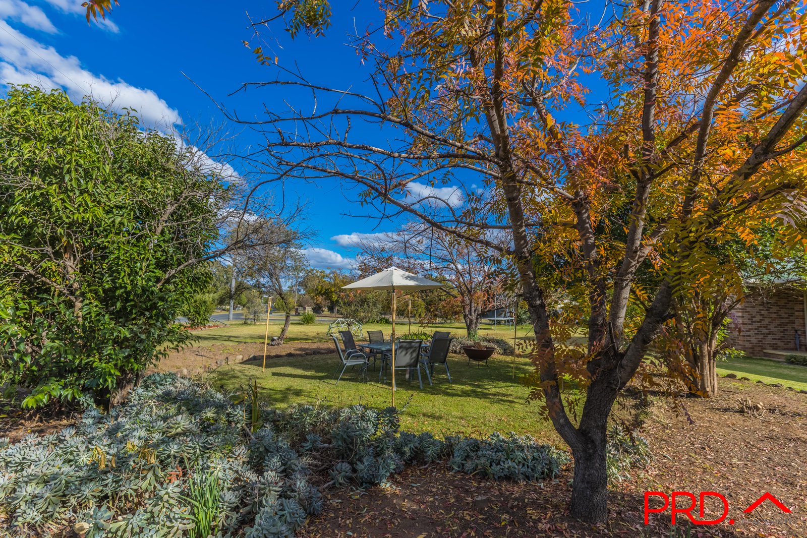 37 Pages Lane TAMWORTH 25