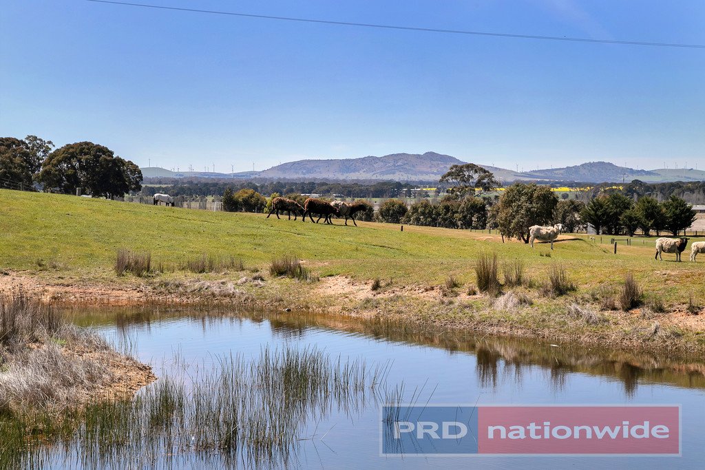 37 Tansey Court TRAWALLA 2
