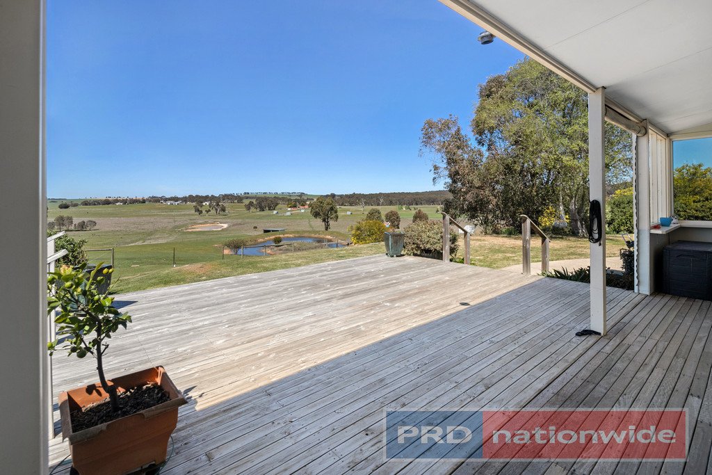 37 Tansey Court TRAWALLA 14