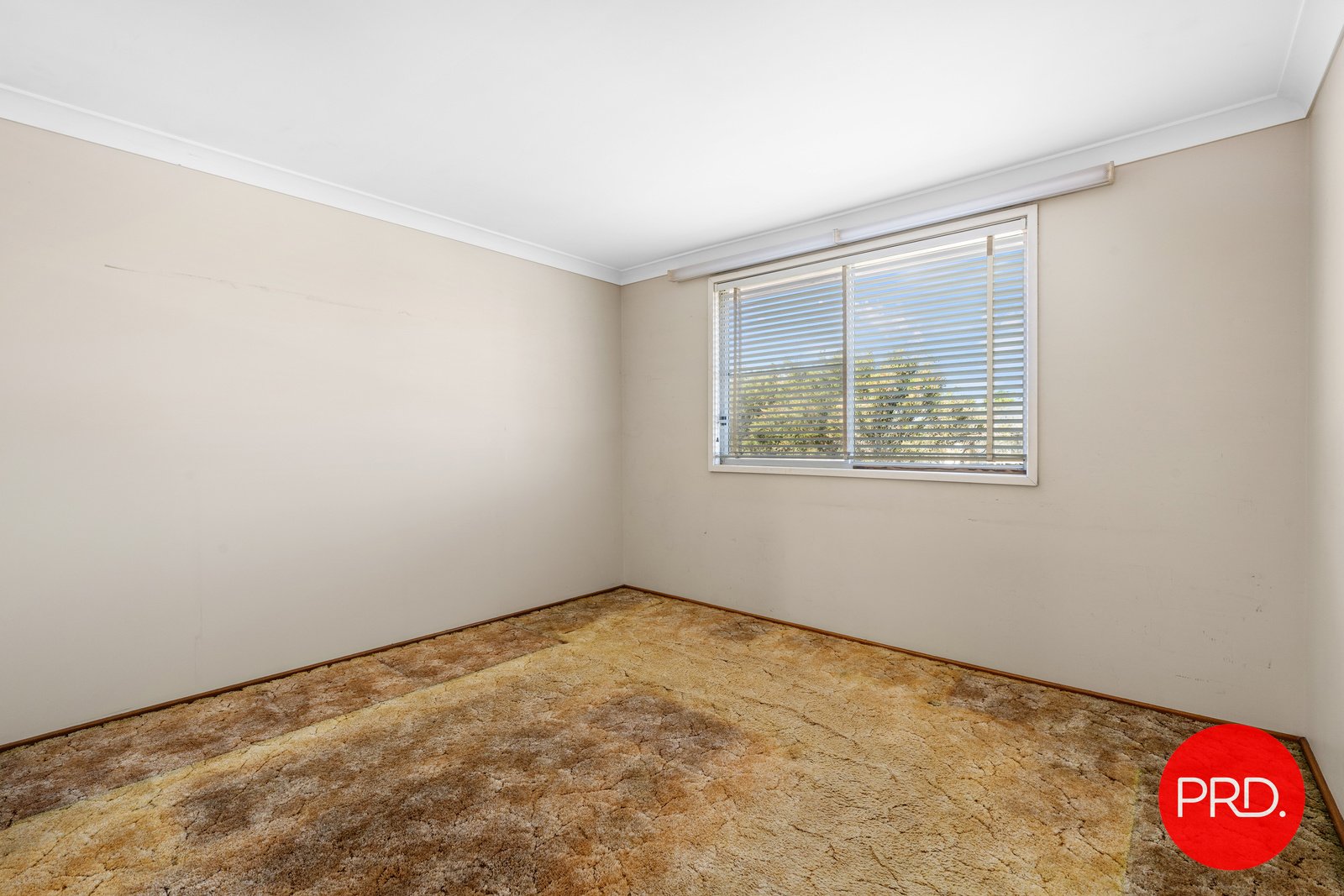 37 Traynor Avenue KOGARAH 14