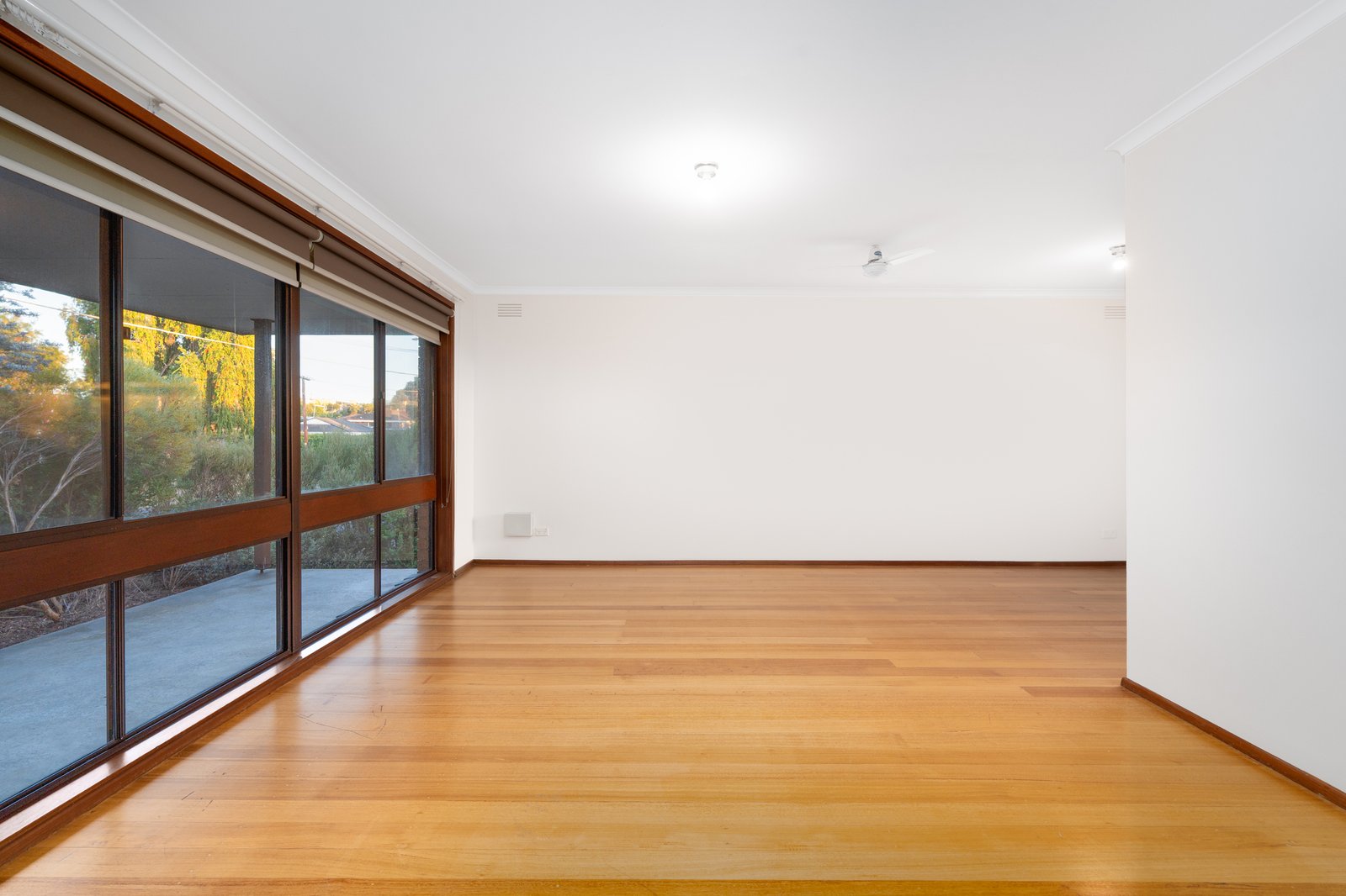 Gallery: 37 Walpole Avenue