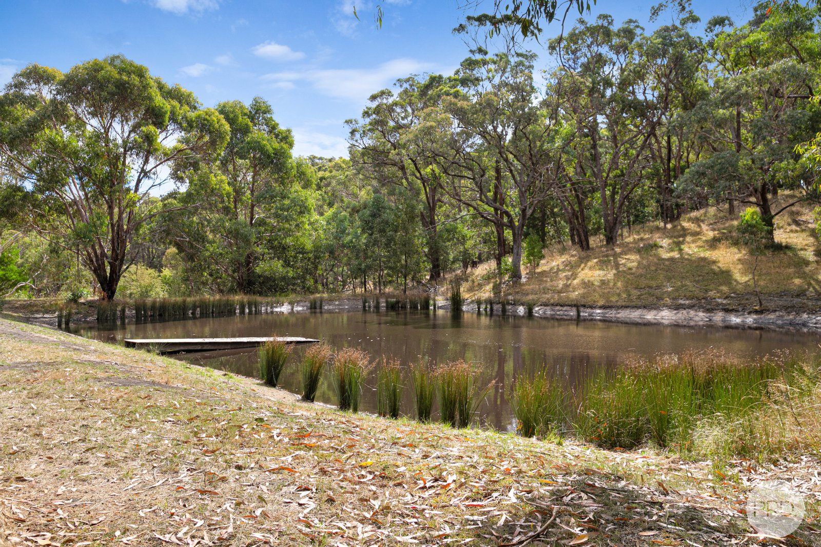 37 Webster Street LINTON 10