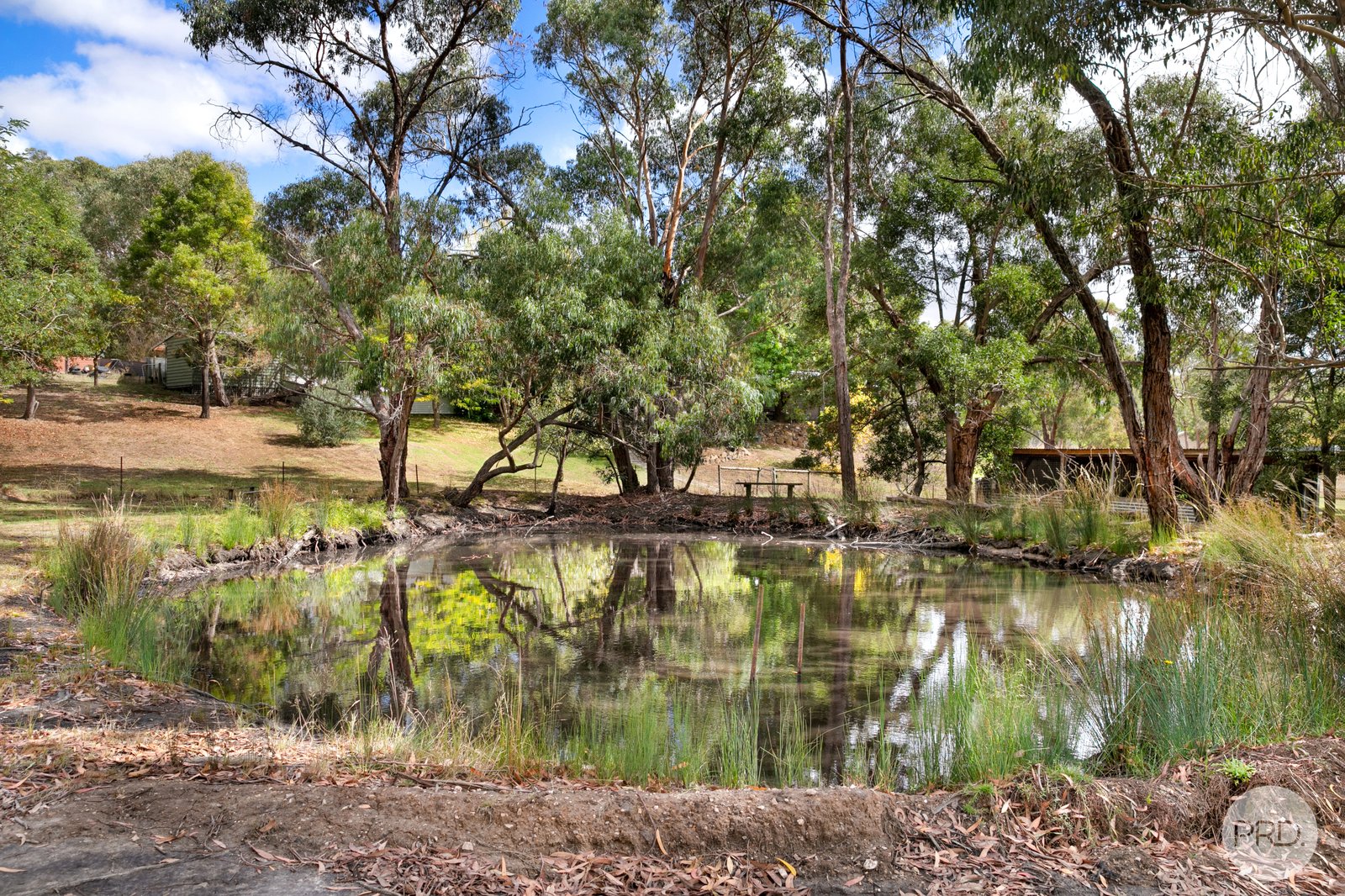 37 Webster Street LINTON 11