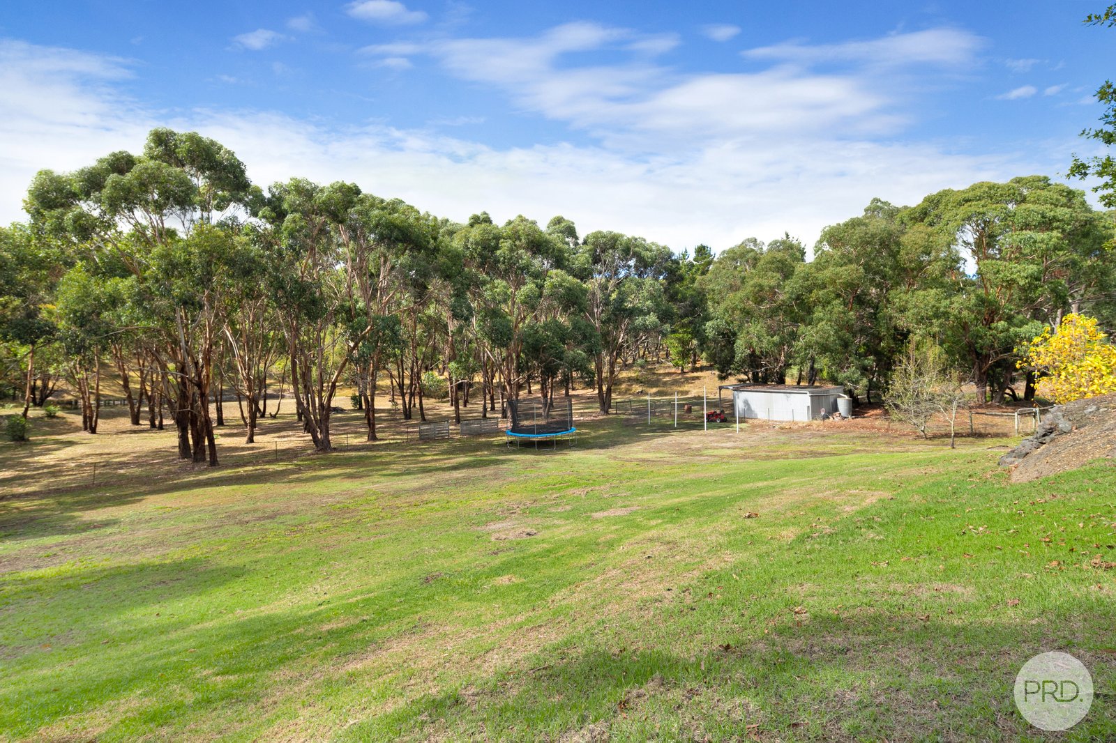 37 Webster Street LINTON 12