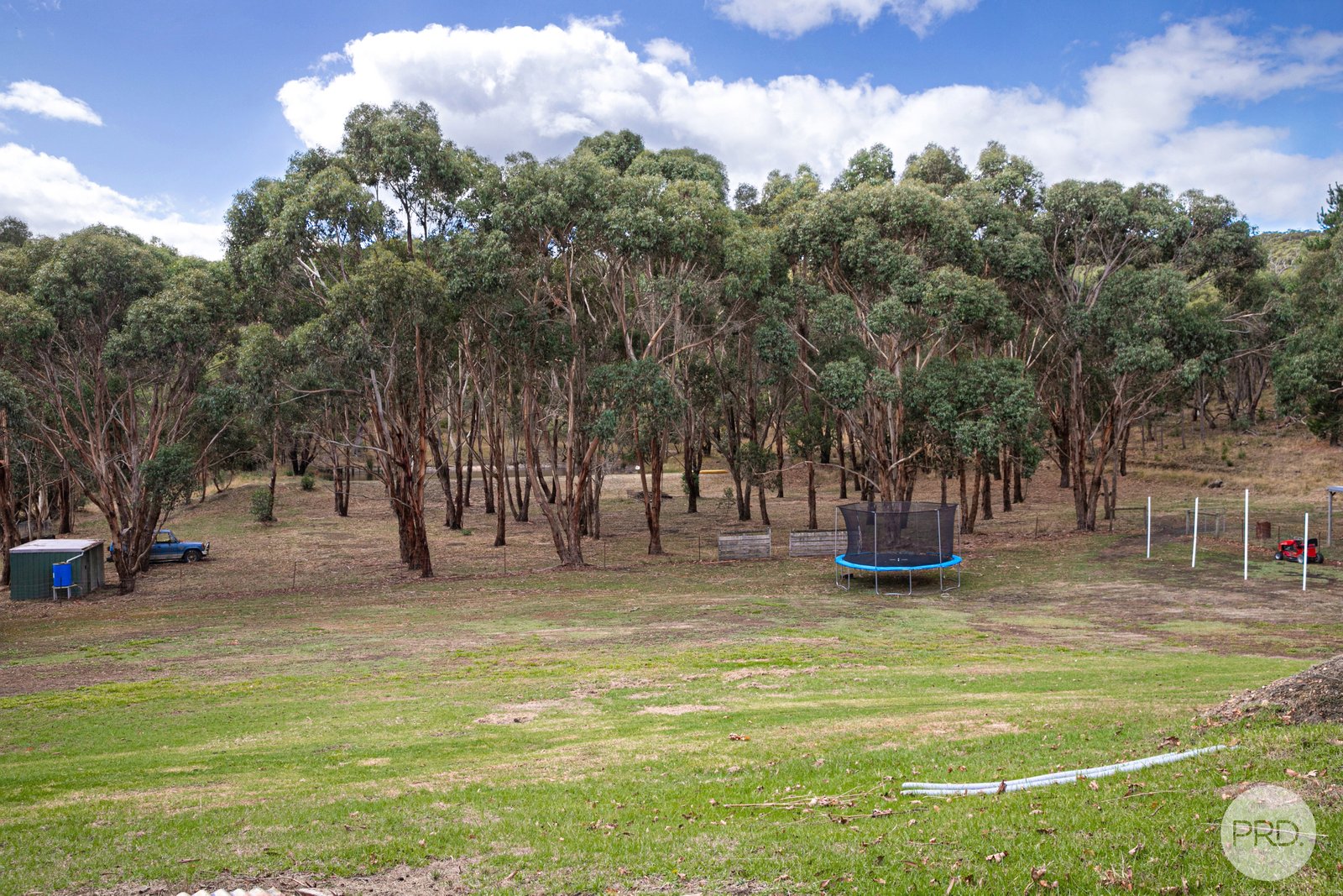 37 Webster Street LINTON 13