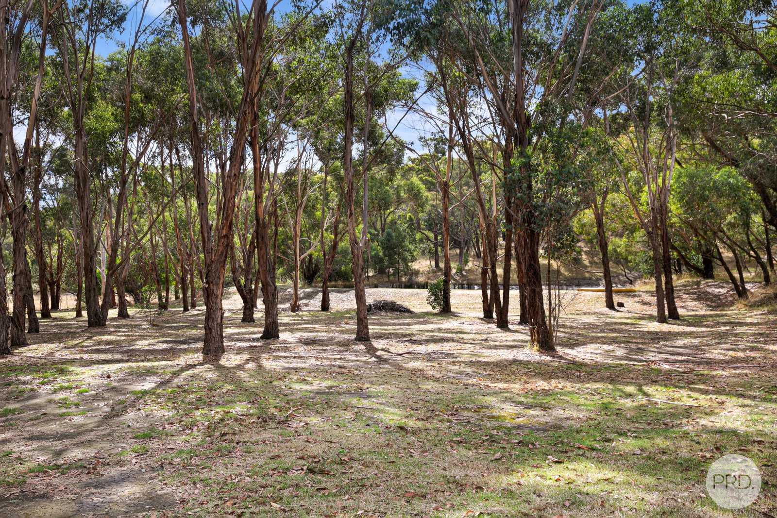 37 Webster Street LINTON 14