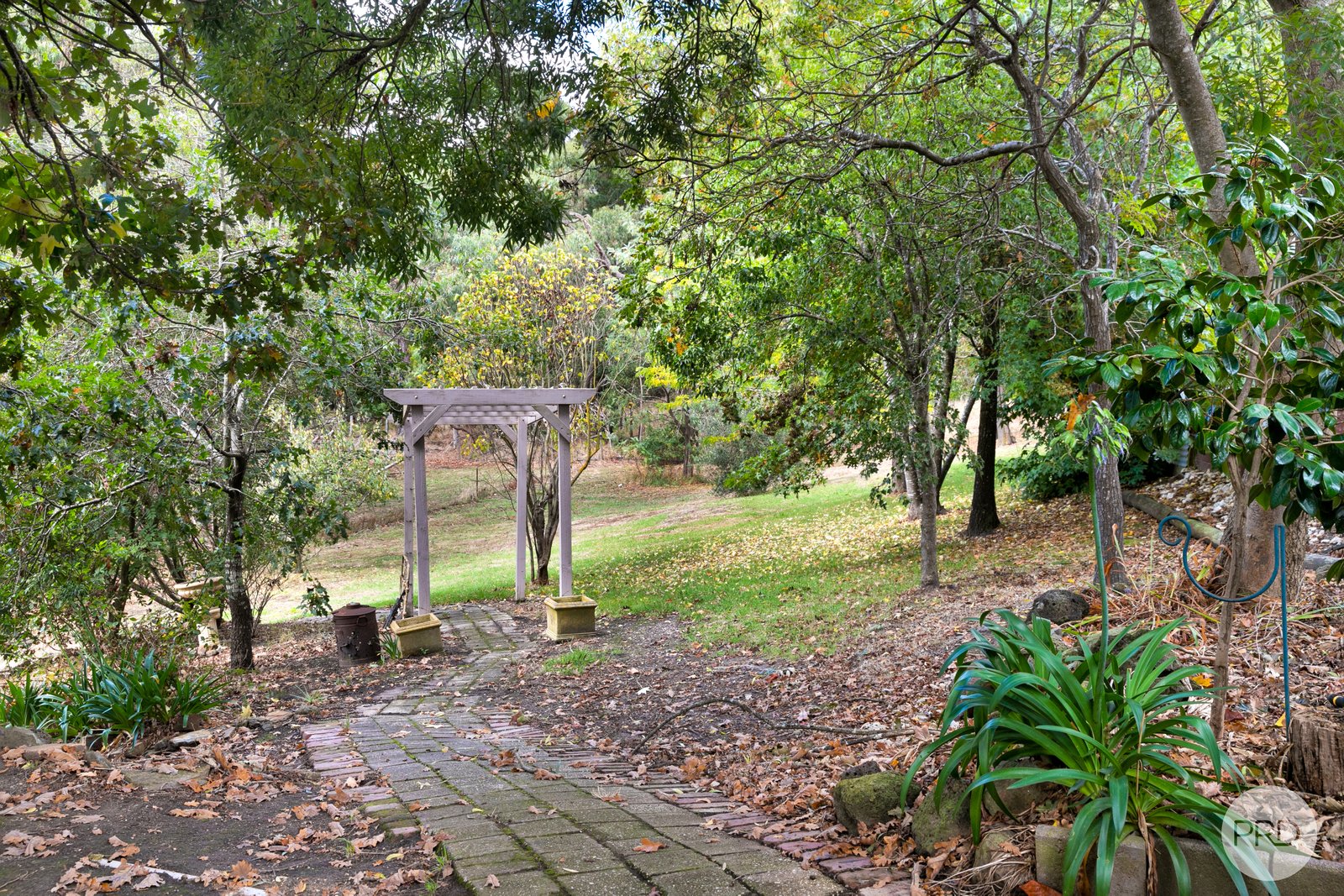 37 Webster Street LINTON 16