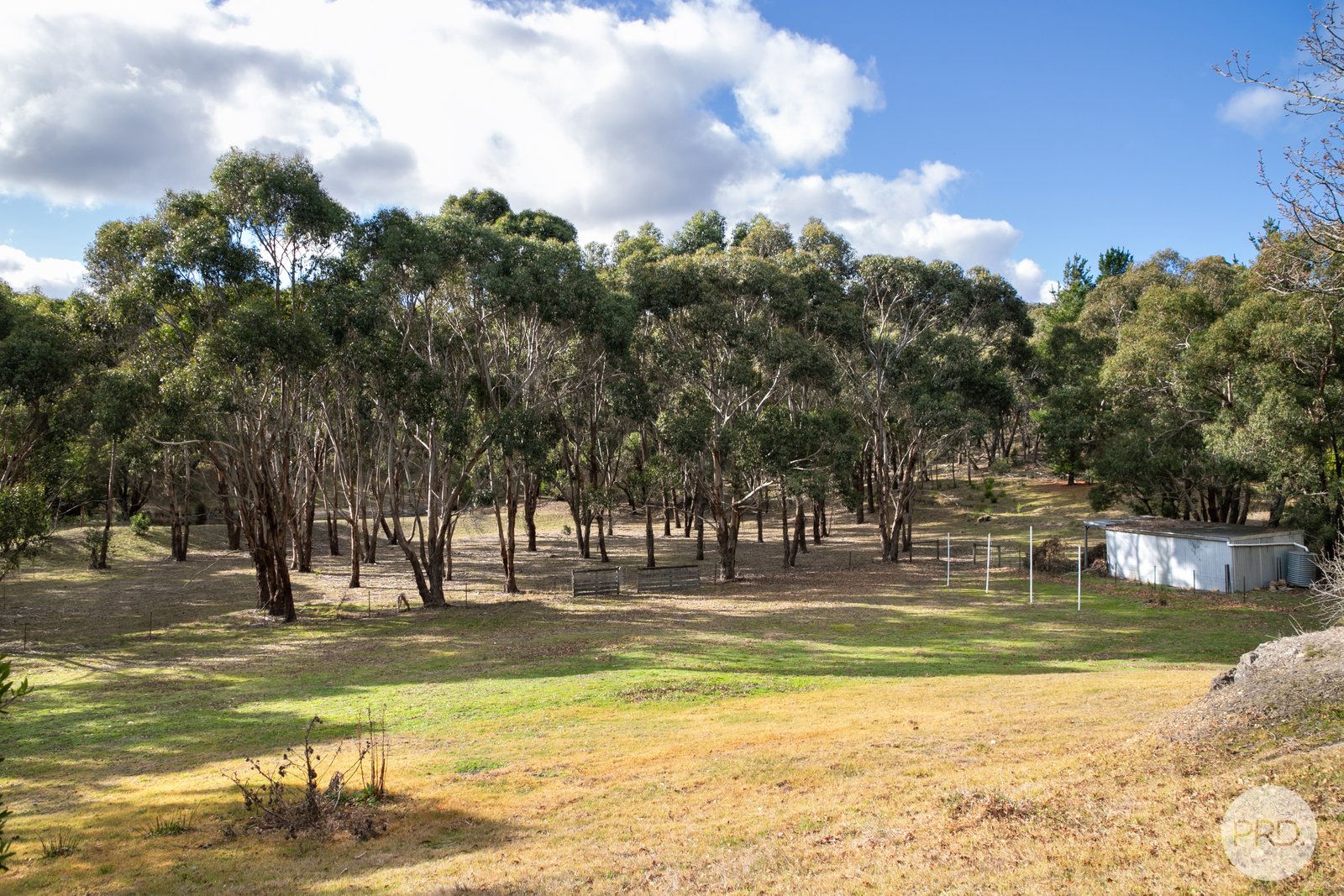 37 Webster Street LINTON 11