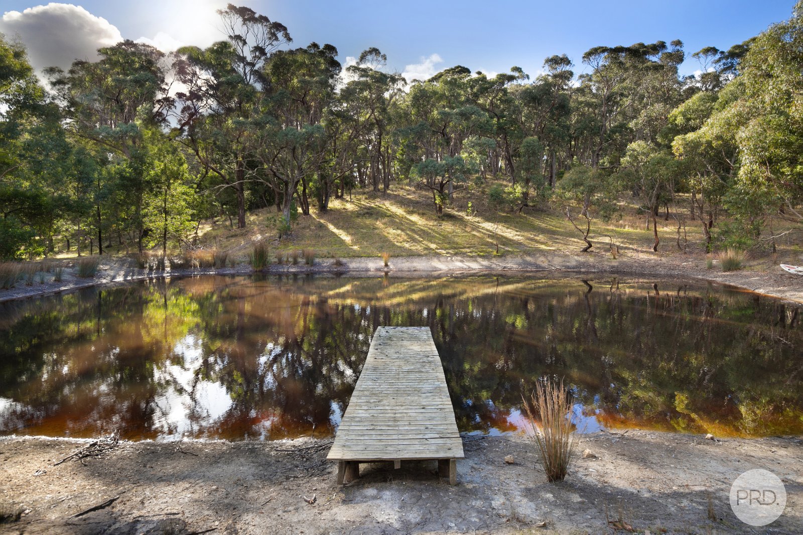 37 Webster Street LINTON 12