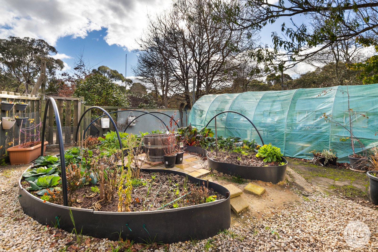 37 Webster Street LINTON 14