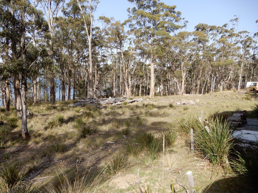 37 Youngs Road APOLLO BAY 2