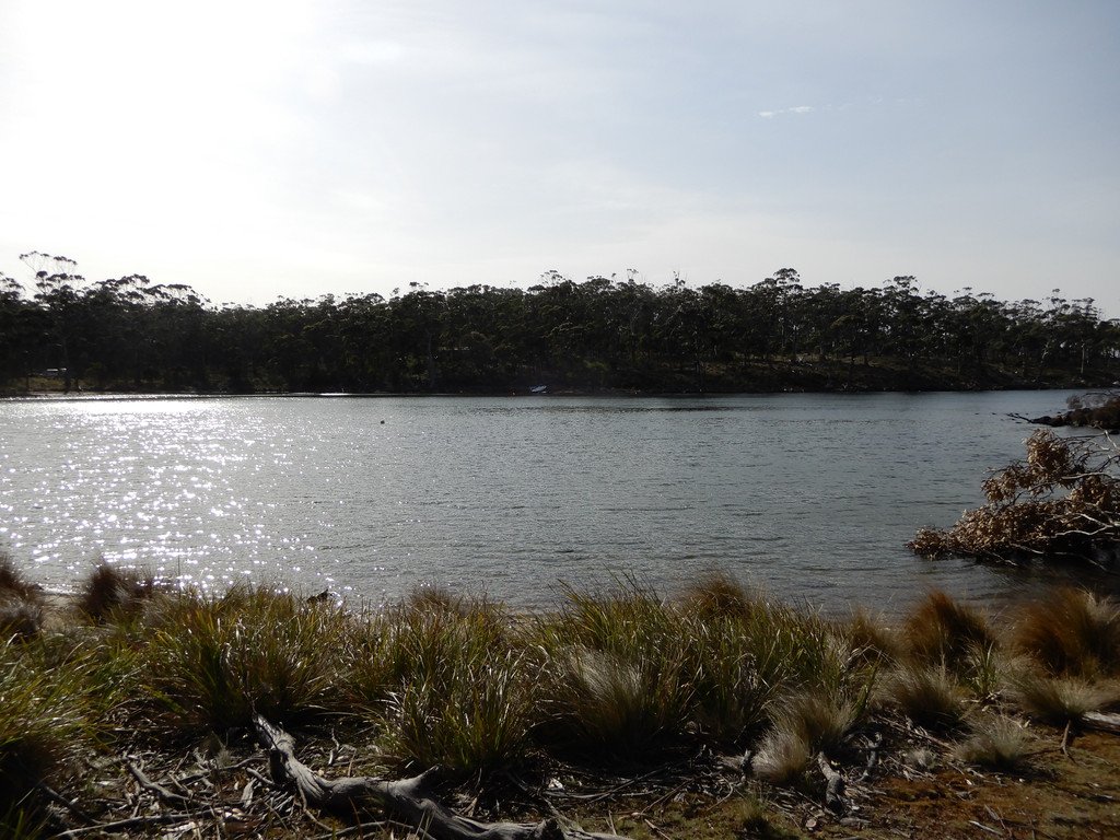 37 Youngs Road APOLLO BAY 15