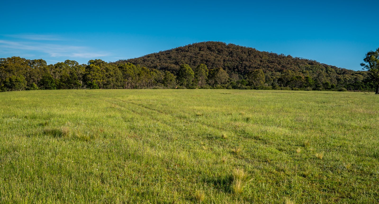 371 Mayfield Road LARBERT 20