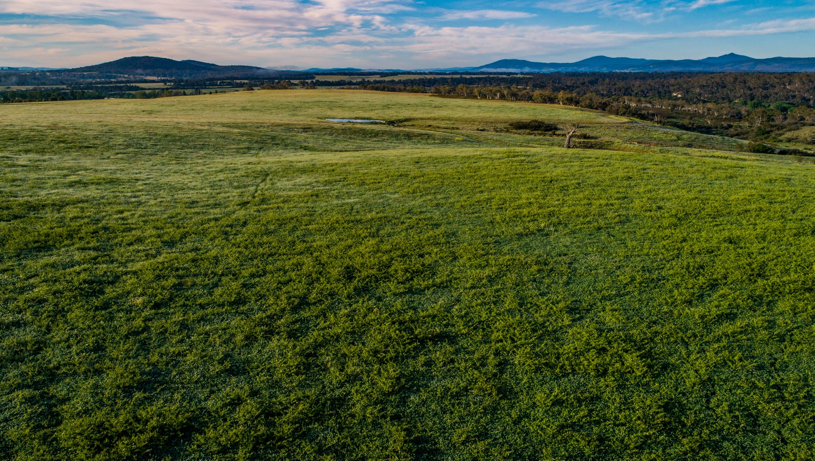 371 Mayfield Road LARBERT 21