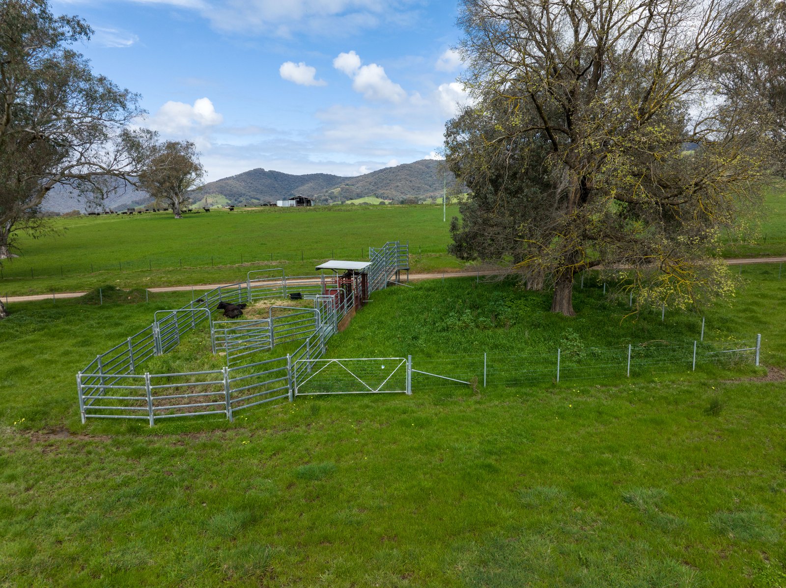 371 Snowy Mountains Highway TUMUT 26