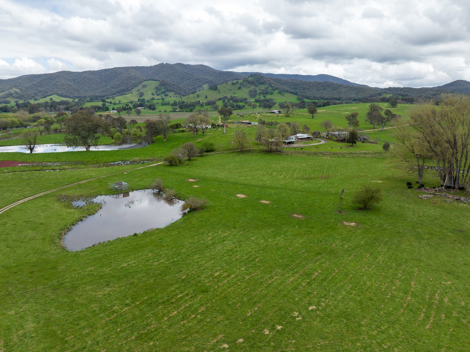 371 Snowy Mountains Highway TUMUT 31