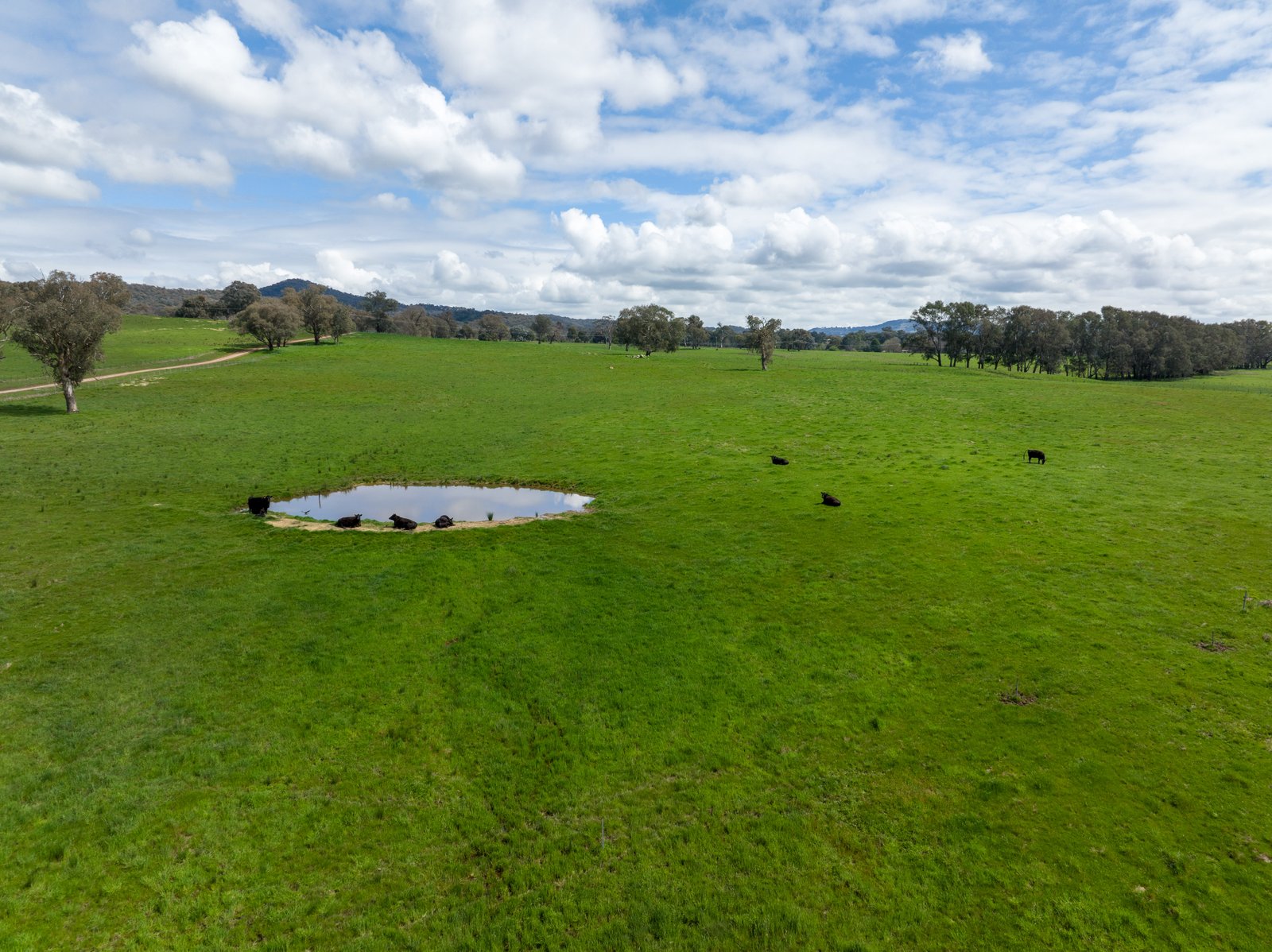 371 Snowy Mountains Highway TUMUT 32