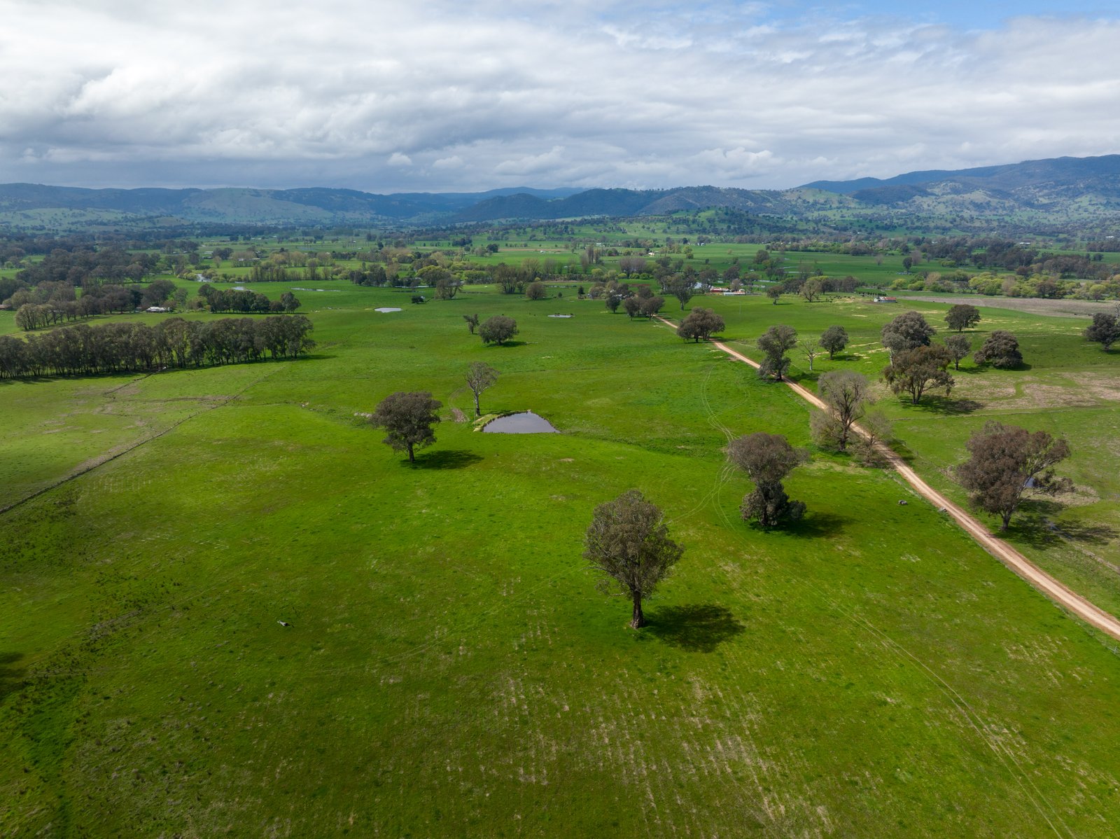 371 Snowy Mountains Highway TUMUT 34