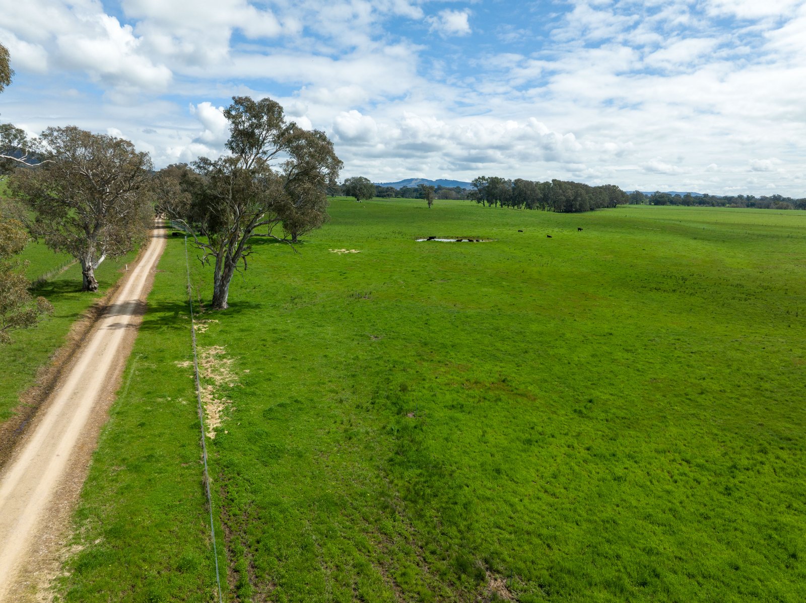 371 Snowy Mountains Highway TUMUT 35