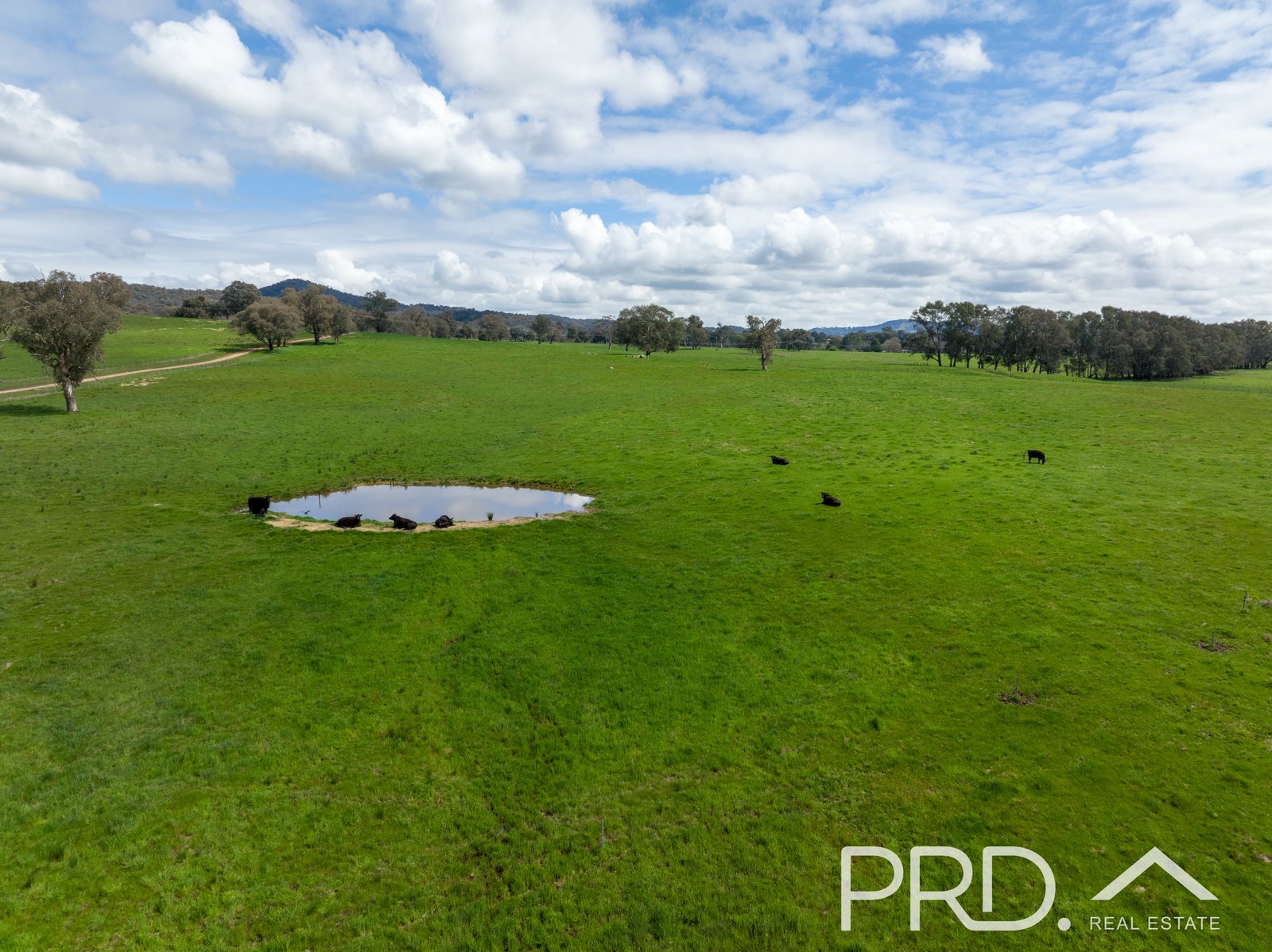 371 Snowy Mountains Highway TUMUT 32
