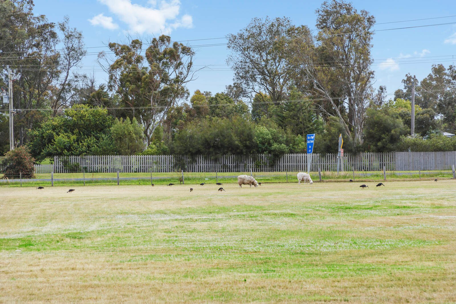 Real Estate and Property in 372-380 Bellarine Highway, Moolap, VIC