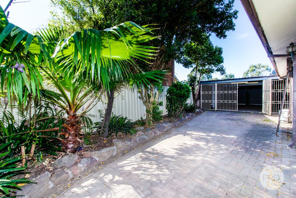 372 Jamison Road Penrith 15