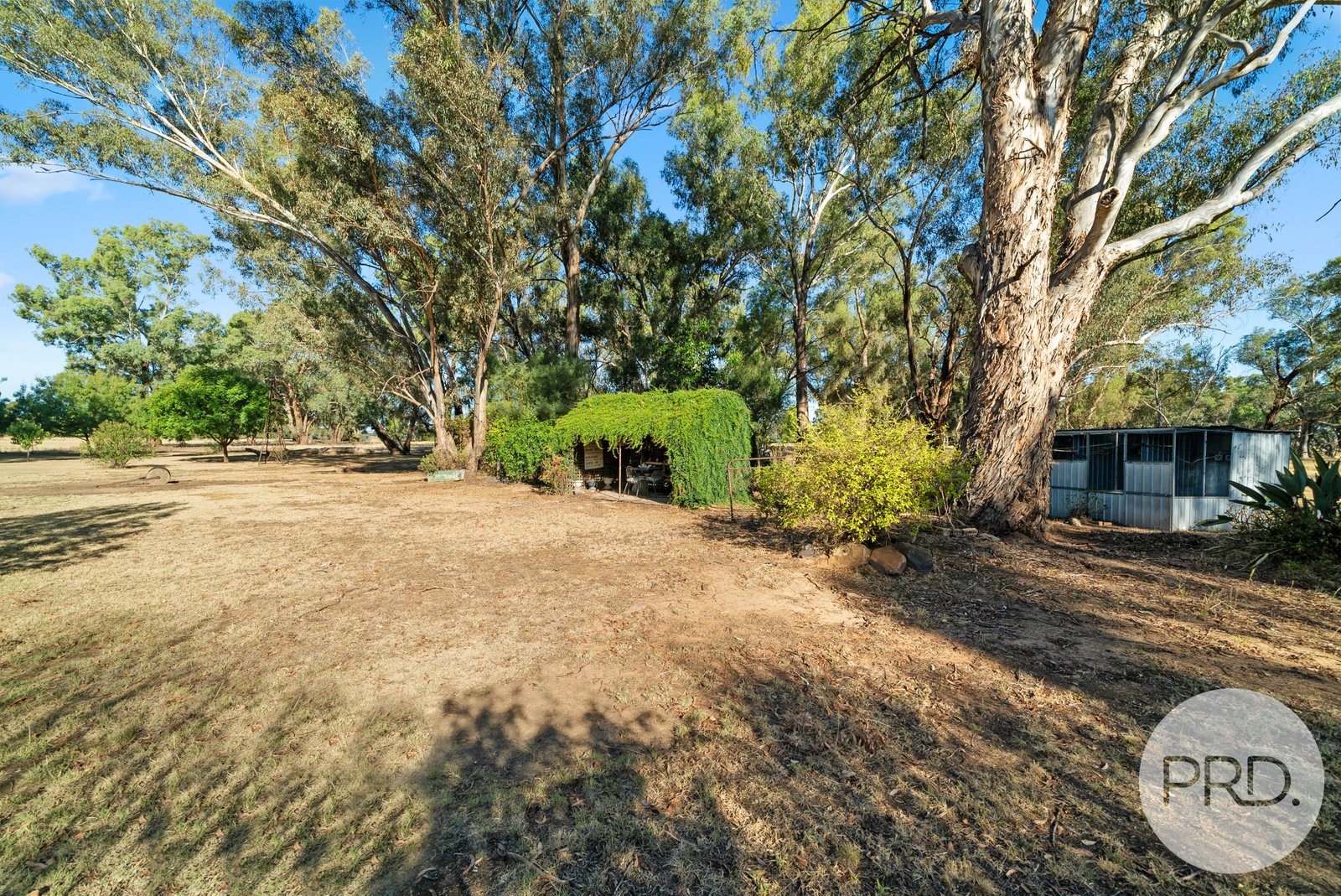 372 Old Trunk Road THE ROCK 17