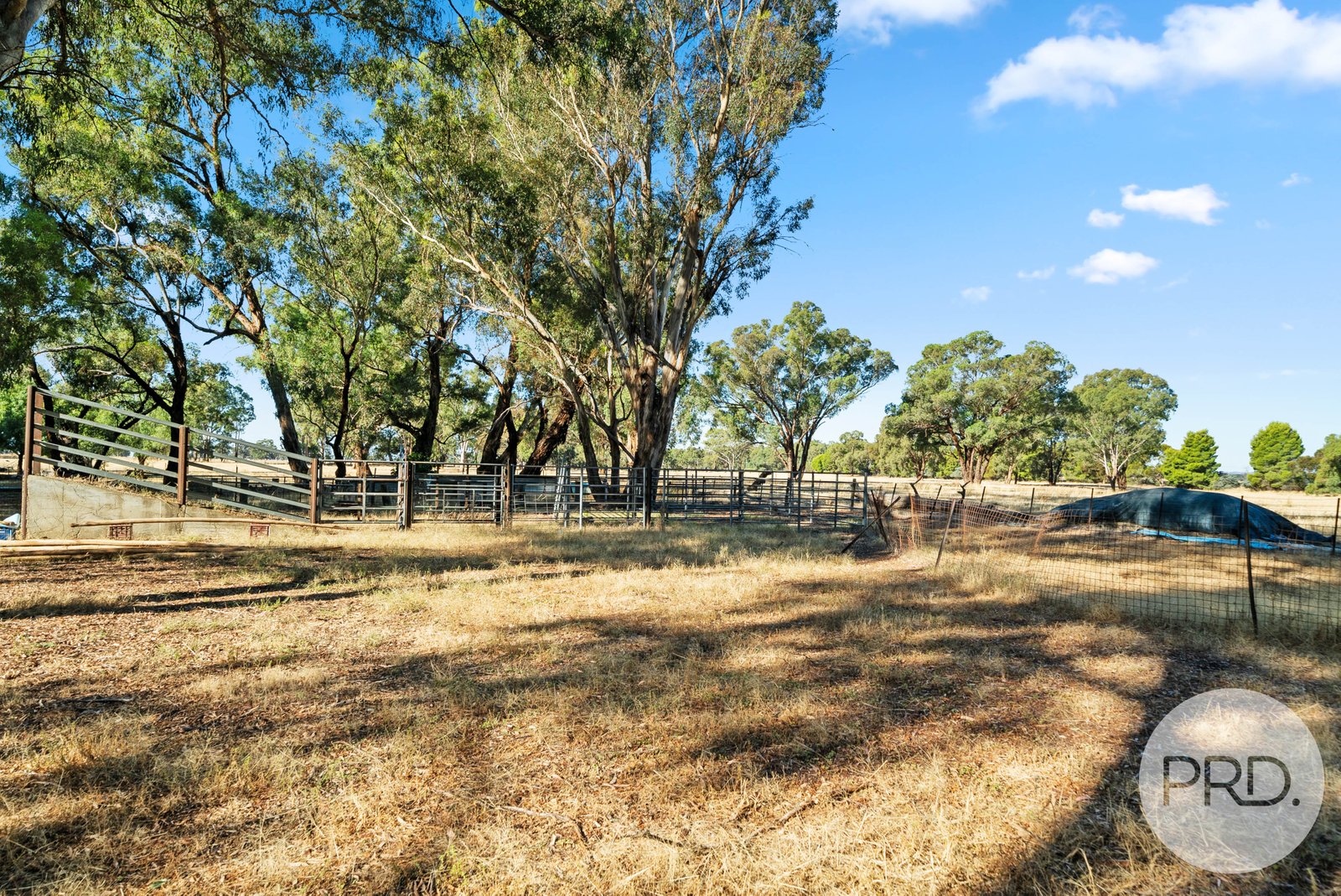 372 Old Trunk Road THE ROCK 18