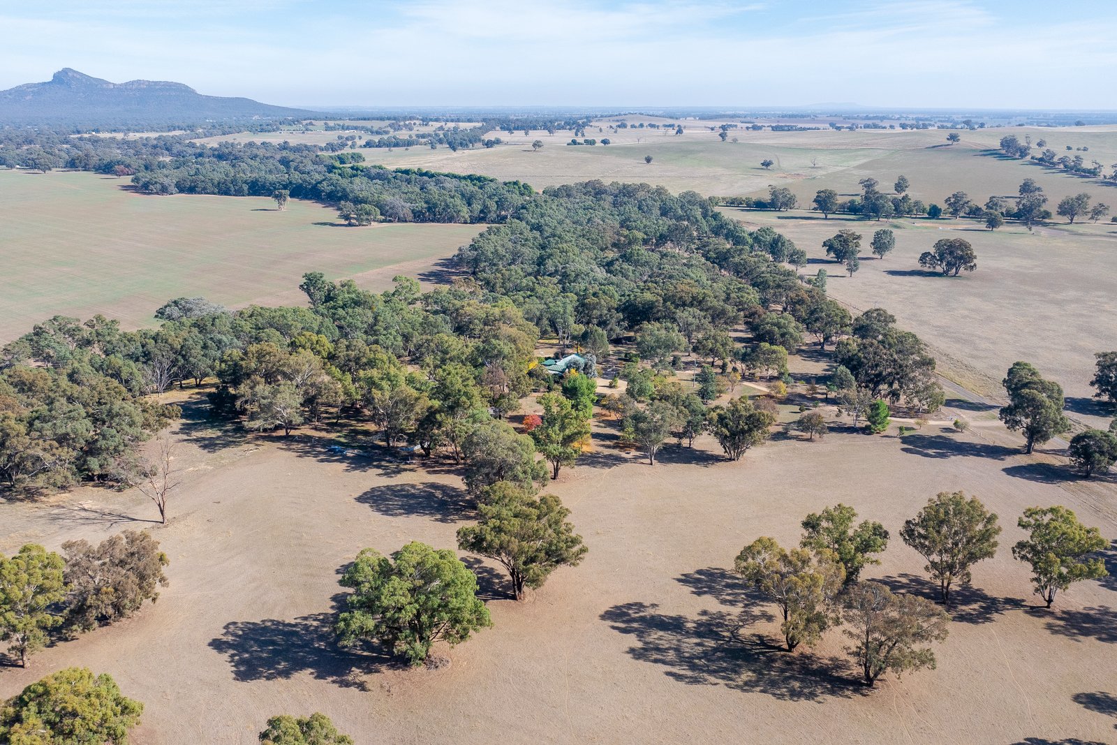 372 Old Trunk Road THE ROCK 20