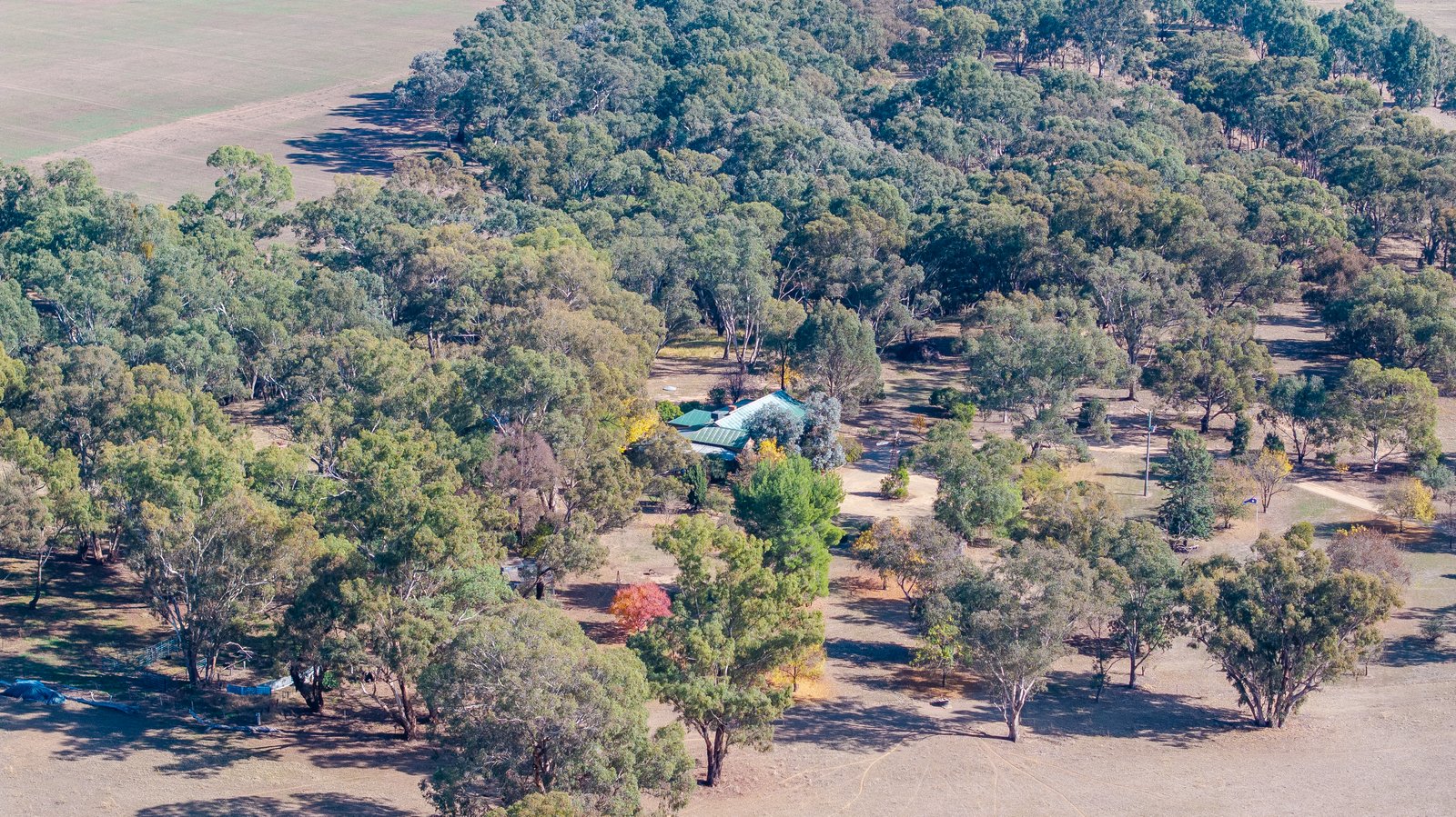 372 Old Trunk Road THE ROCK 25