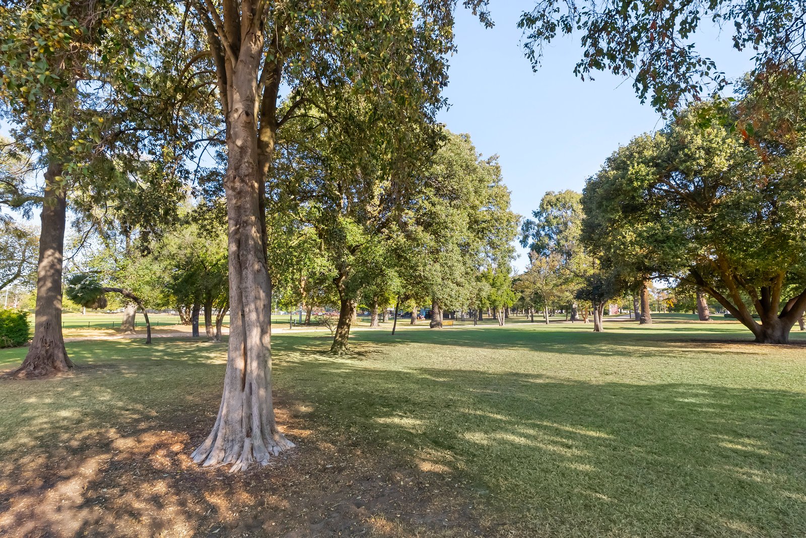 Real Estate and Property in 3/722 Inkerman Road, Caulfield North, VIC