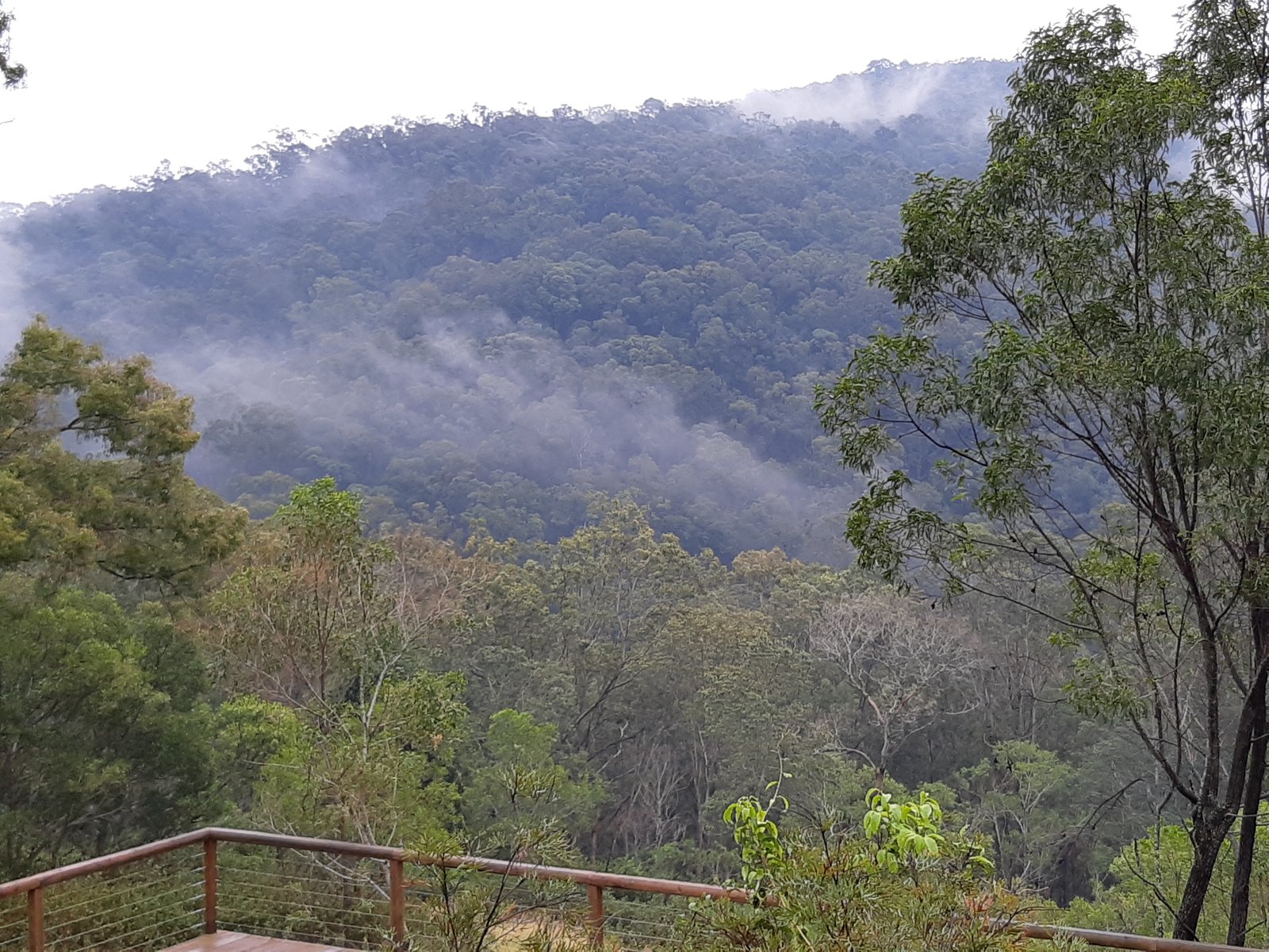 373 Duns Creek Road DUNS CREEK 6