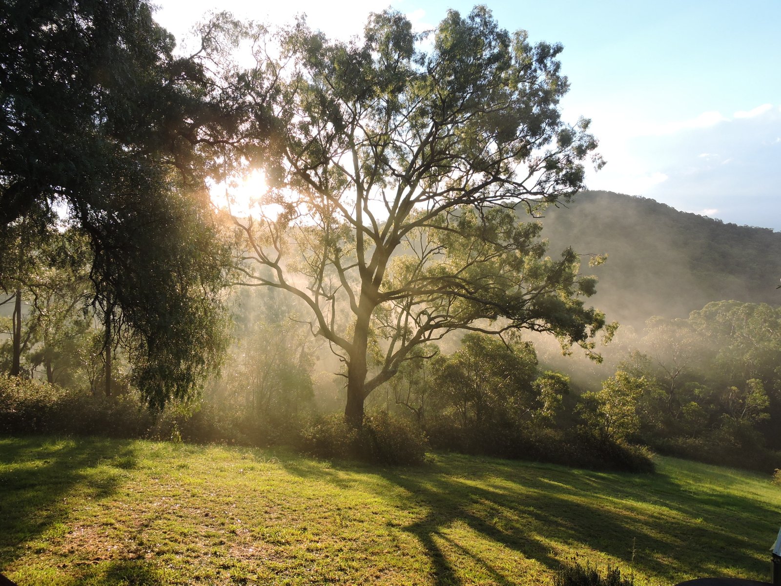 373 Duns Creek Road DUNS CREEK 11