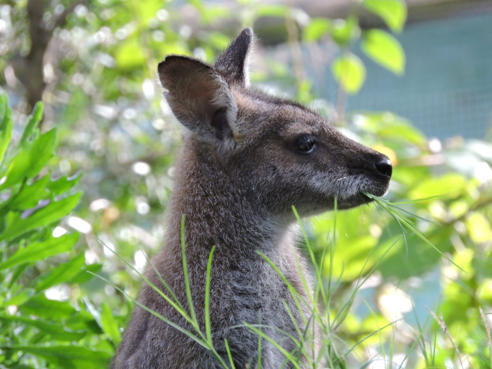 373 Duns Creek Road DUNS CREEK 12