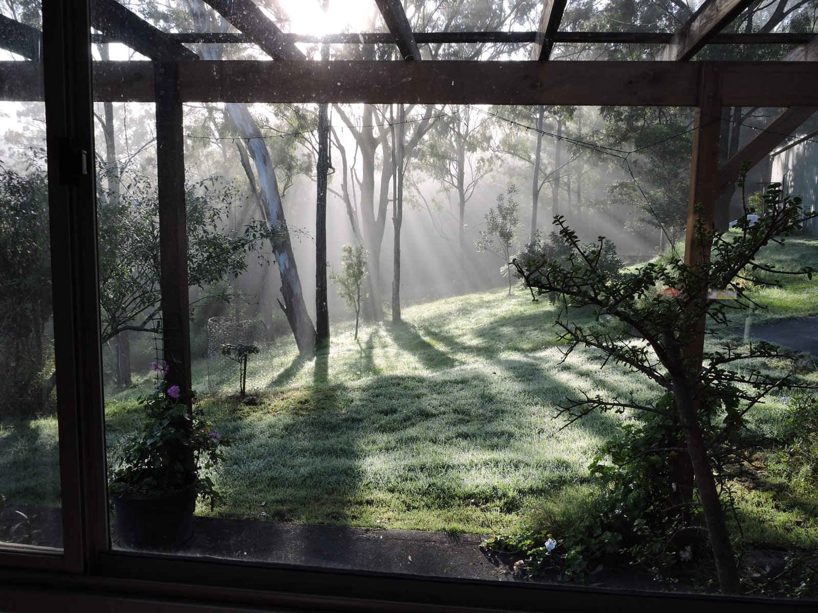 373 Duns Creek Road DUNS CREEK 13