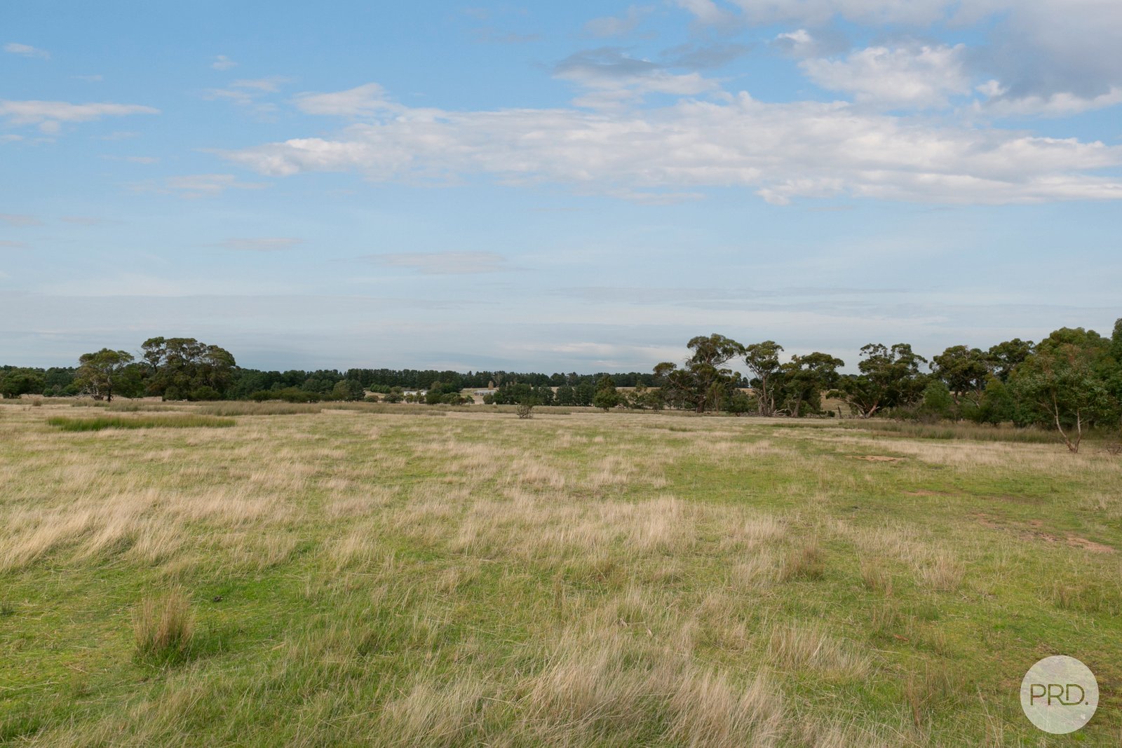 374 Derwent Jacks Road BERRINGA 16