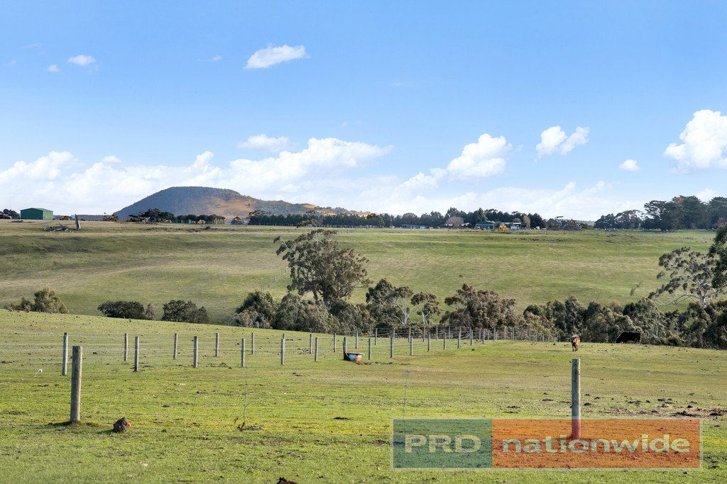 374 Sullivans Road MILLBROOK 14