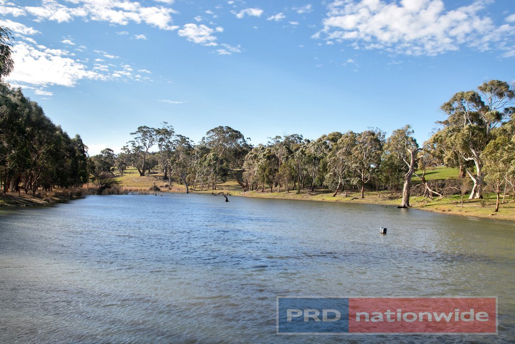 374 Sullivans Road MILLBROOK 15