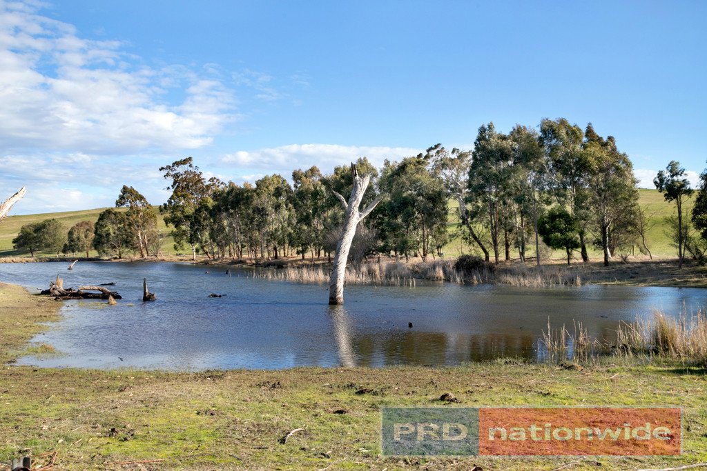 374 Sullivans Road MILLBROOK 16