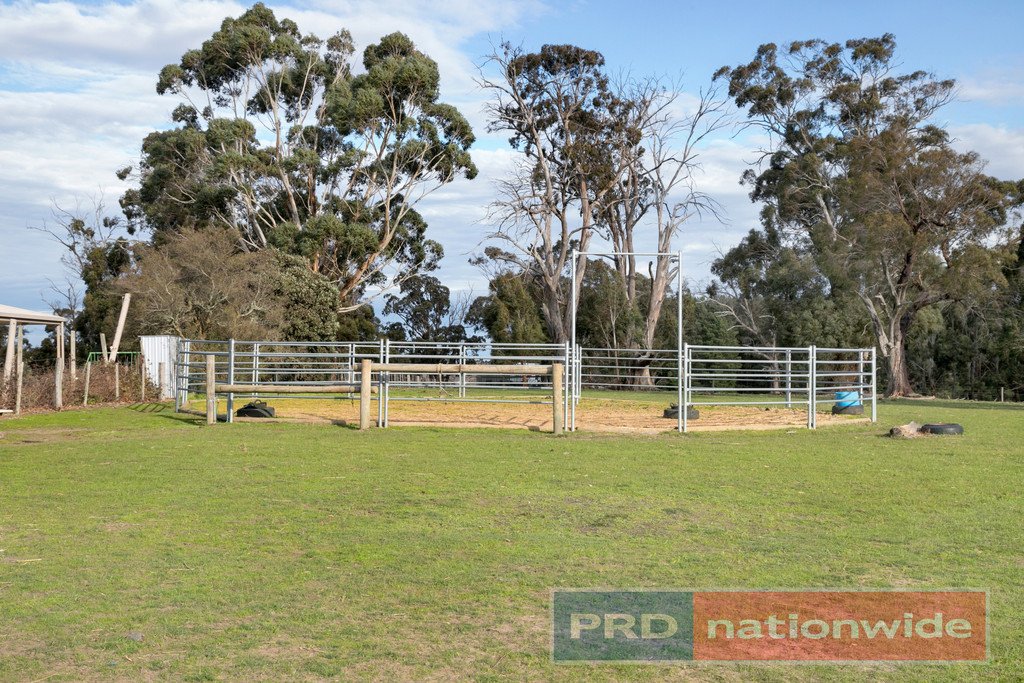 374 Sullivans Road MILLBROOK 17