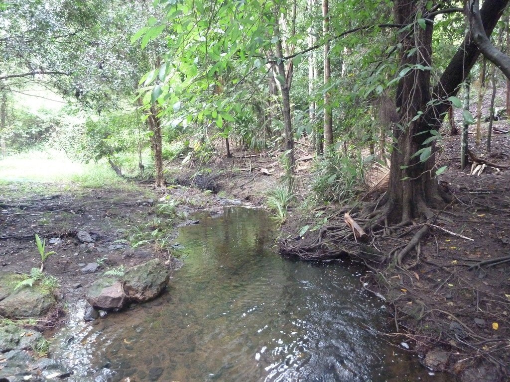375 Afterlee Road KYOGLE 13