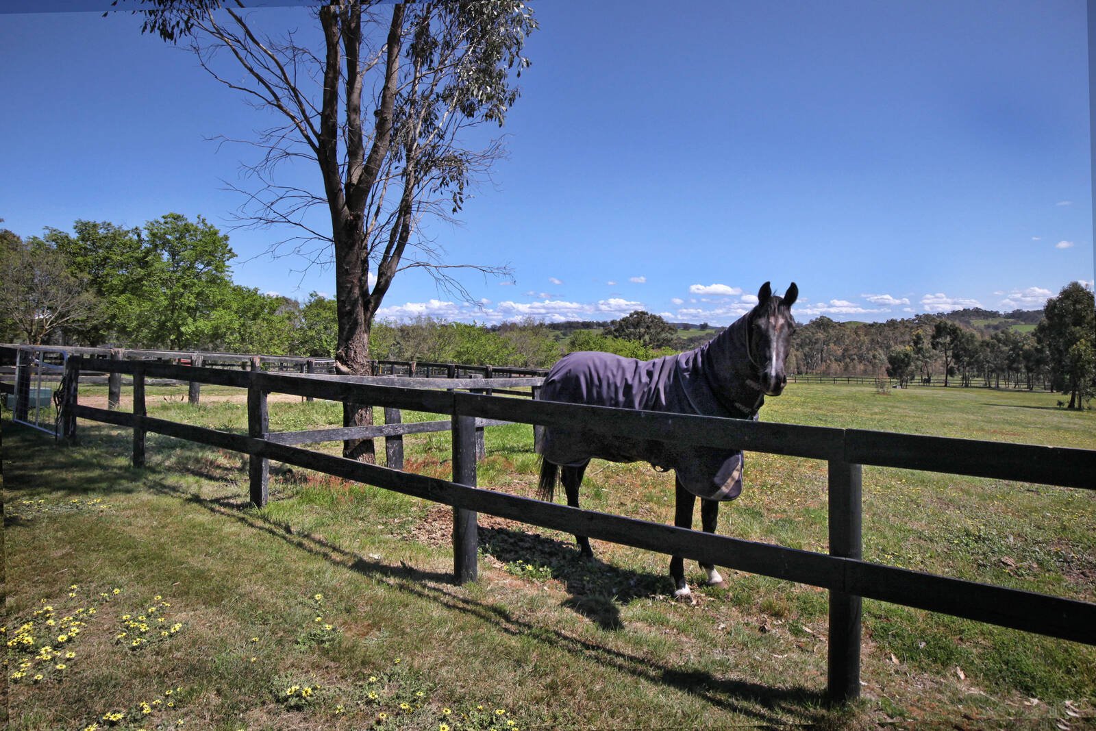 Real Estate and Property in 375 Dry Creek Road, Kilmore East, VIC