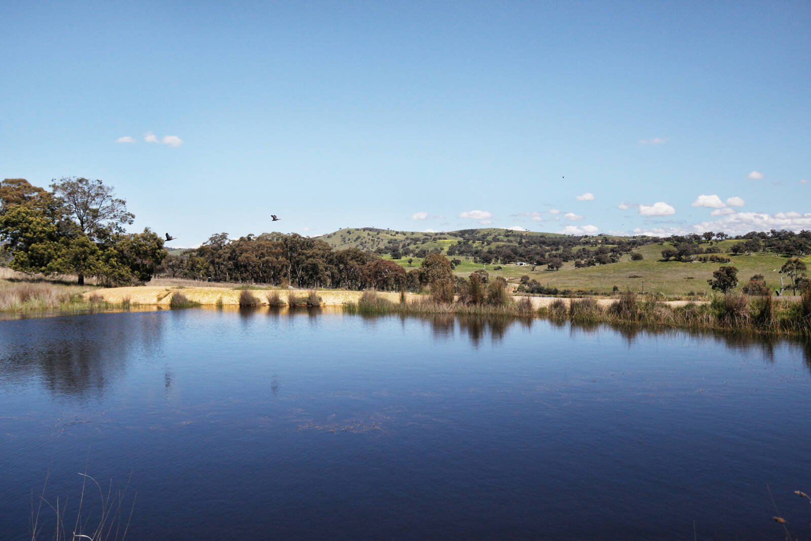 Real Estate and Property in 375 Dry Creek Road, Kilmore East, VIC