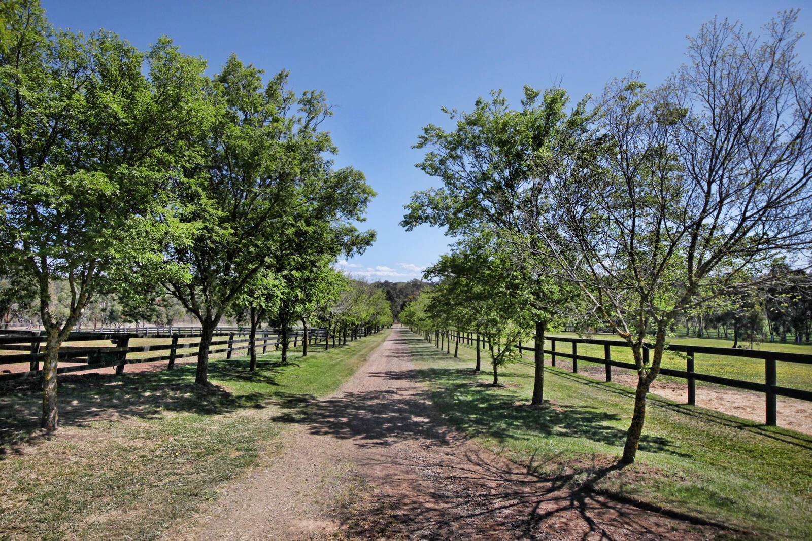 Real Estate and Property in 375 Dry Creek Road, Kilmore East, VIC